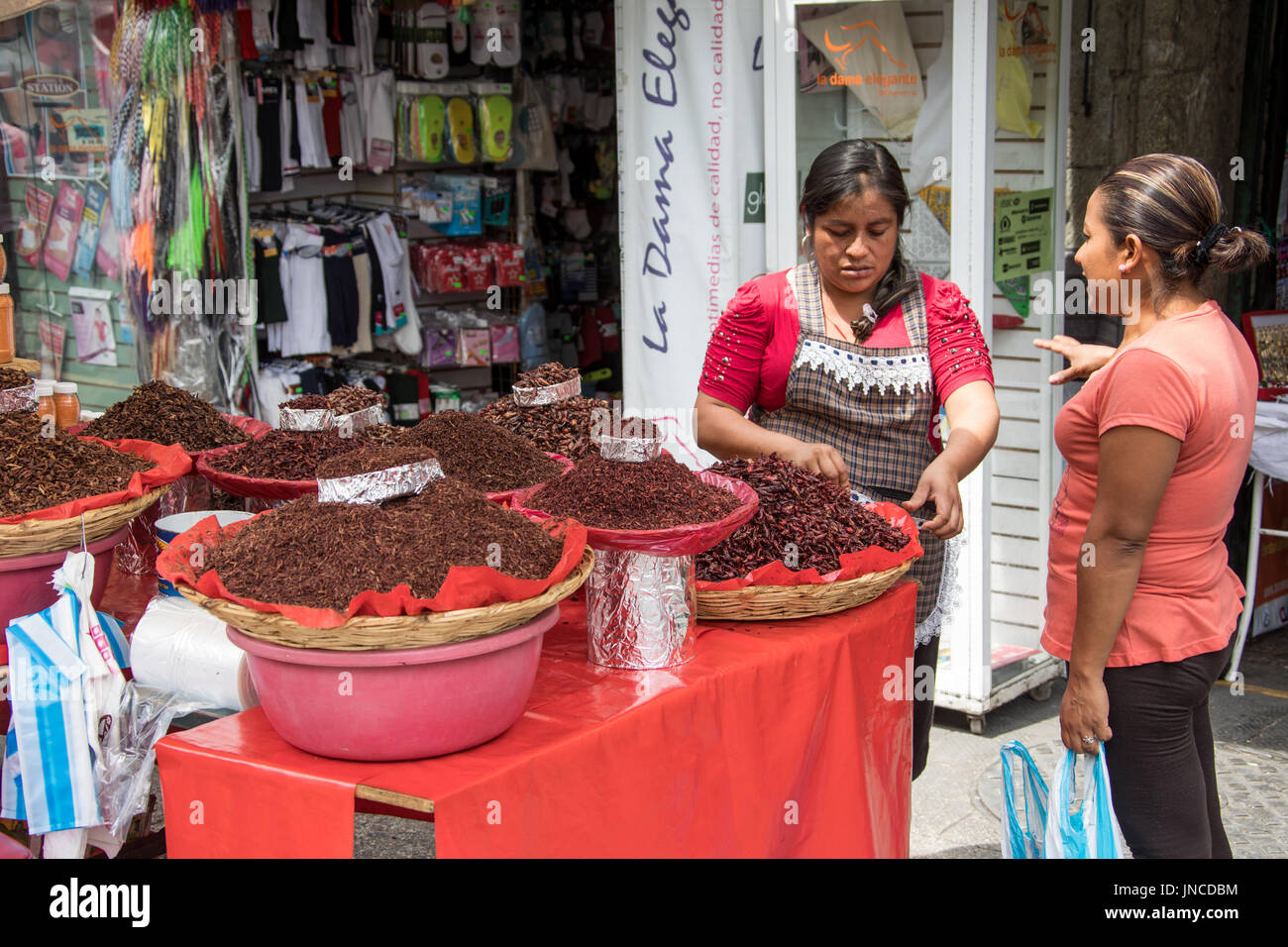 Vendeur insectes frits à Oaxaca, Mexique Banque D'Images