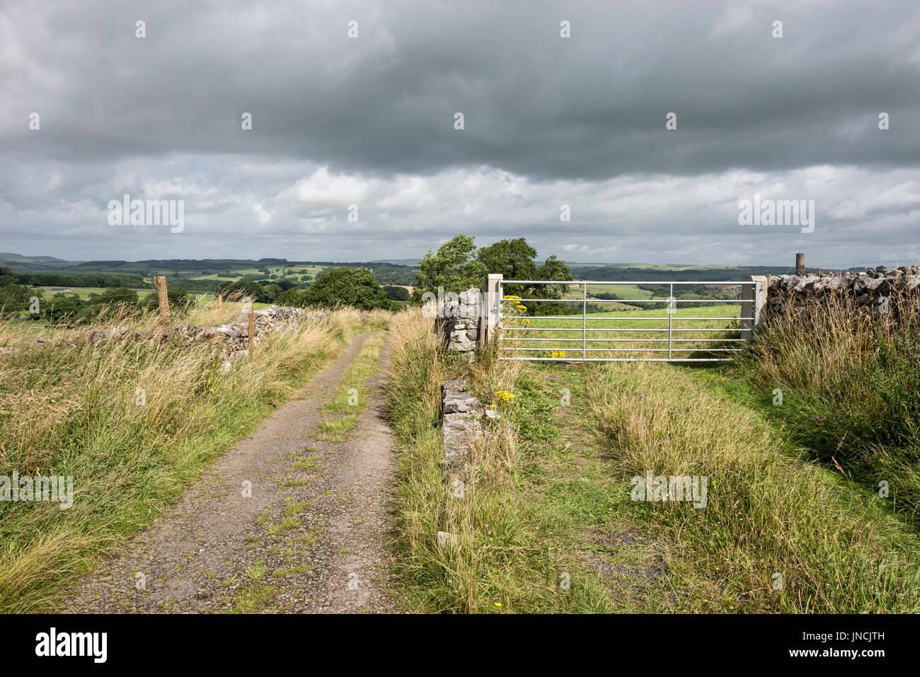 Farm track and field gate dans la campagne anglaise. Banque D'Images