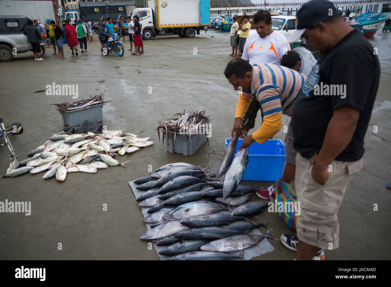 Marché de la pêche, plage de Puerto Lopez, Équateur Banque D'Images