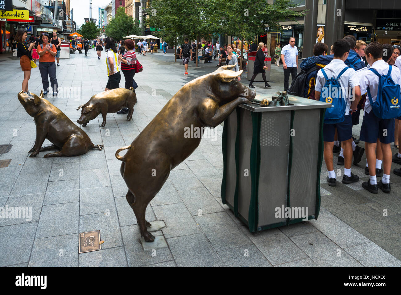 L'Australie, l'Australie du Sud, Adélaïde, la rue Rundle Mall porcs bronze sculptures, une journée par Marguerite Derricourt. Banque D'Images
