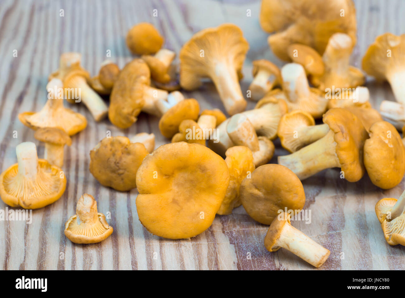 Chantarelle champignons sur planche de bois Banque D'Images