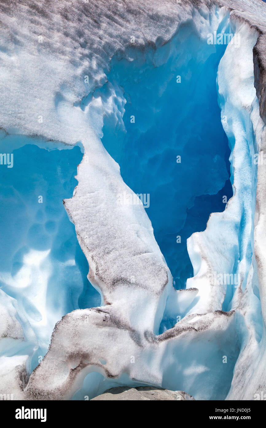 Glacier Nigardsbreen en été, la Norvège Banque D'Images