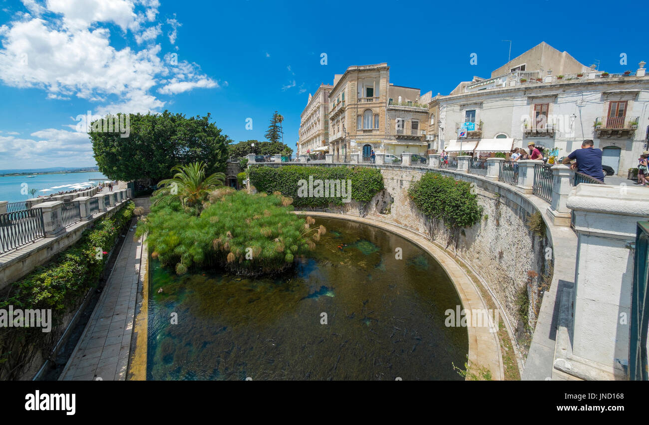 La fontaine d'Arethusa est une fontaine sur l'île d'Ortigia, dans le centre historique de la ville de Syracuse en Sicile, Italie. Banque D'Images