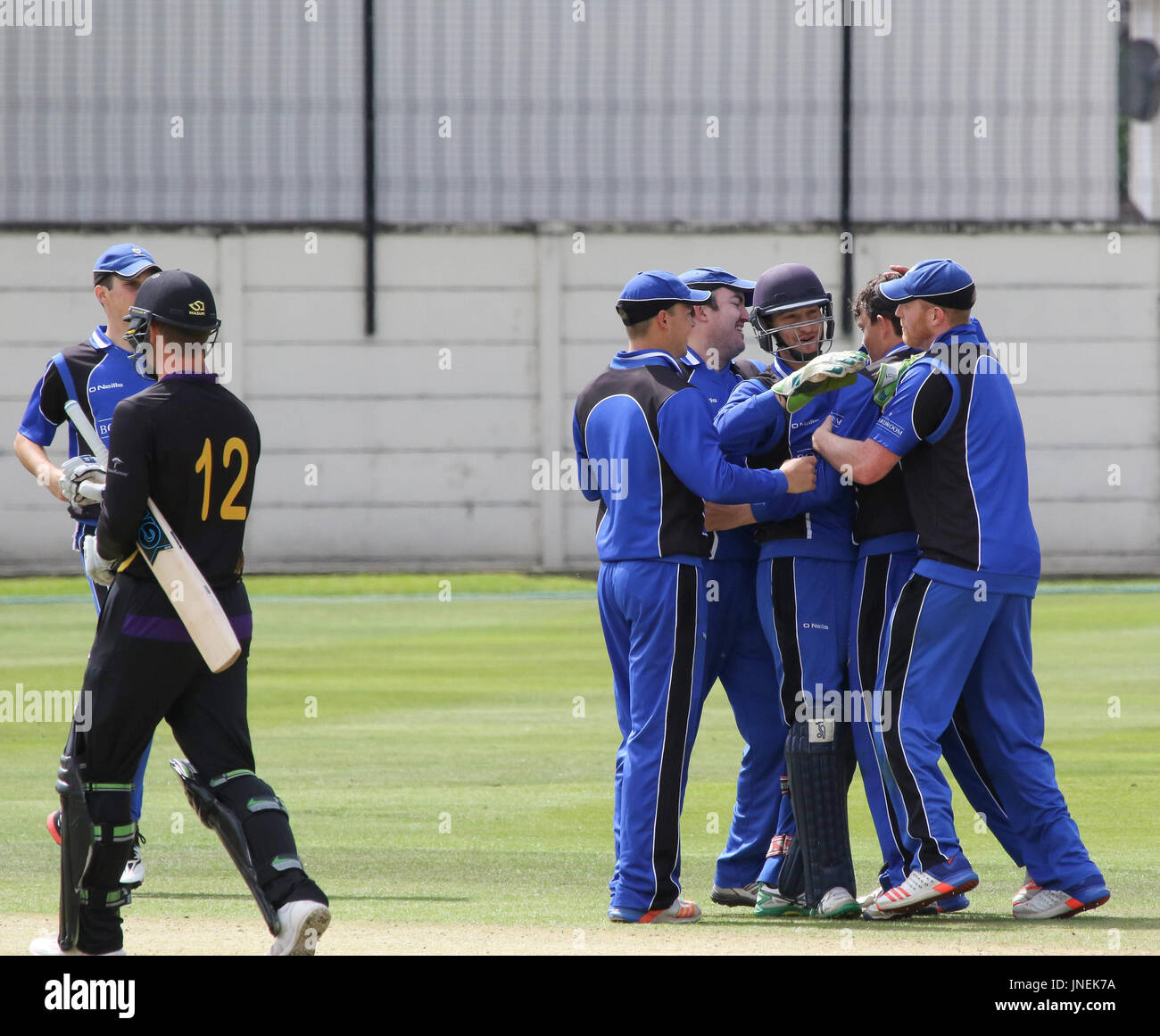 Le Livre vert, Comber, Irlande du Nord, Royaume-Uni. 29 juillet 2017. CIYMS Instonians défait par six wickets pour gagner la finale de la coupe d'Arthur J. Gallagher. CIYMS célébrer le licenciement de Andrew White (12). Crédit : David Hunter/Alamy Live News. Banque D'Images