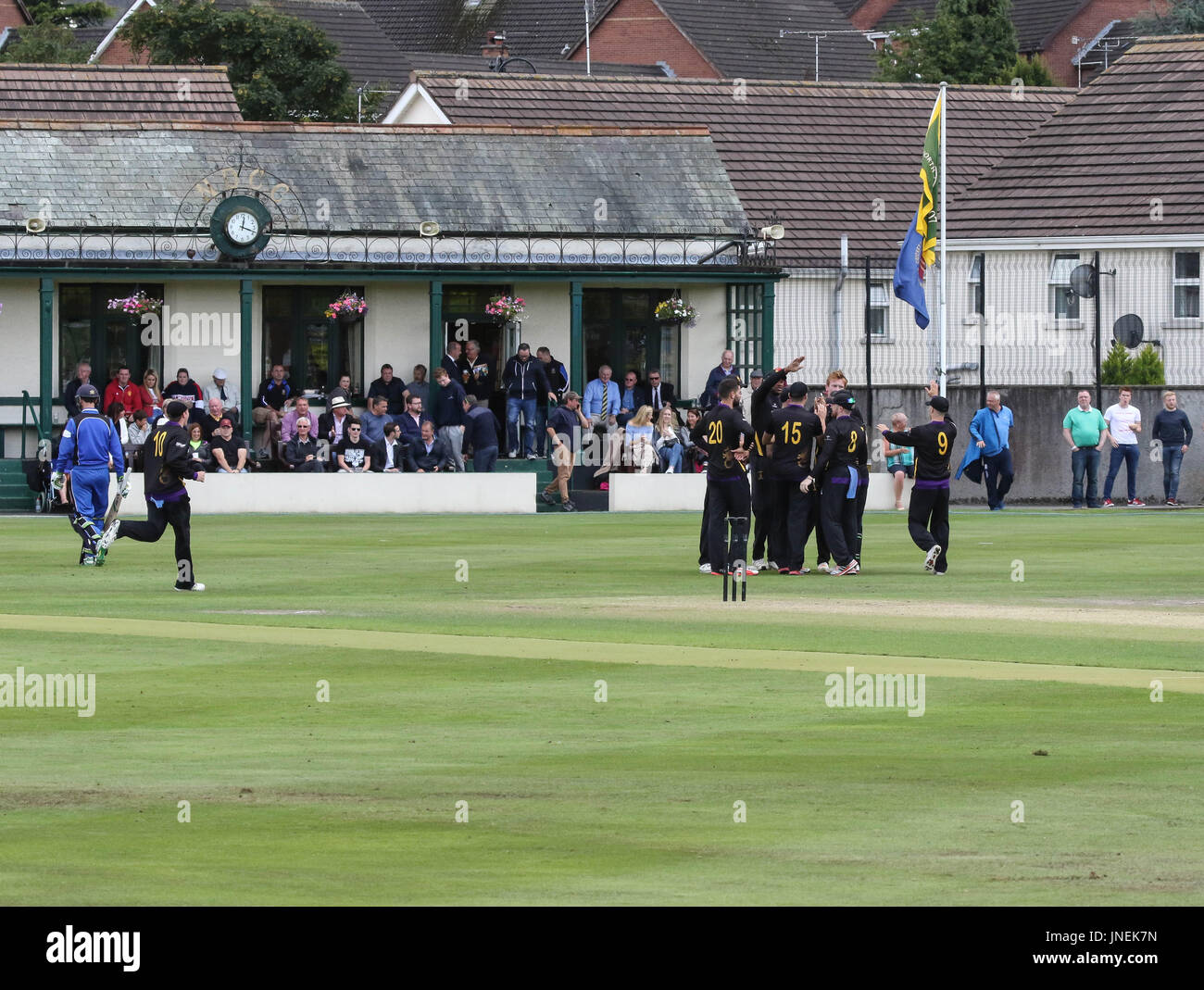 Le Livre vert, Comber, Irlande du Nord, Royaume-Uni. 29 juillet 2017. CIYMS Instonians défait par six wickets pour gagner la finale de la coupe d'Arthur J. Gallagher. Instonians célébrer la prise d'wickt Christopher Dougherty. Crédit : David Hunter/Alamy Live News. Banque D'Images