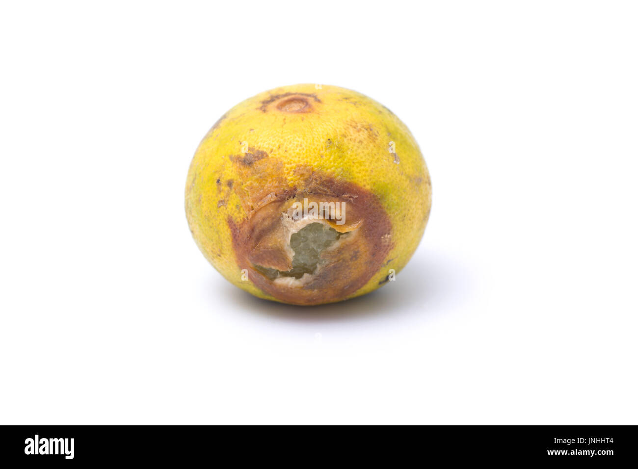 Citron pourri isolé sur fond blanc Banque D'Images