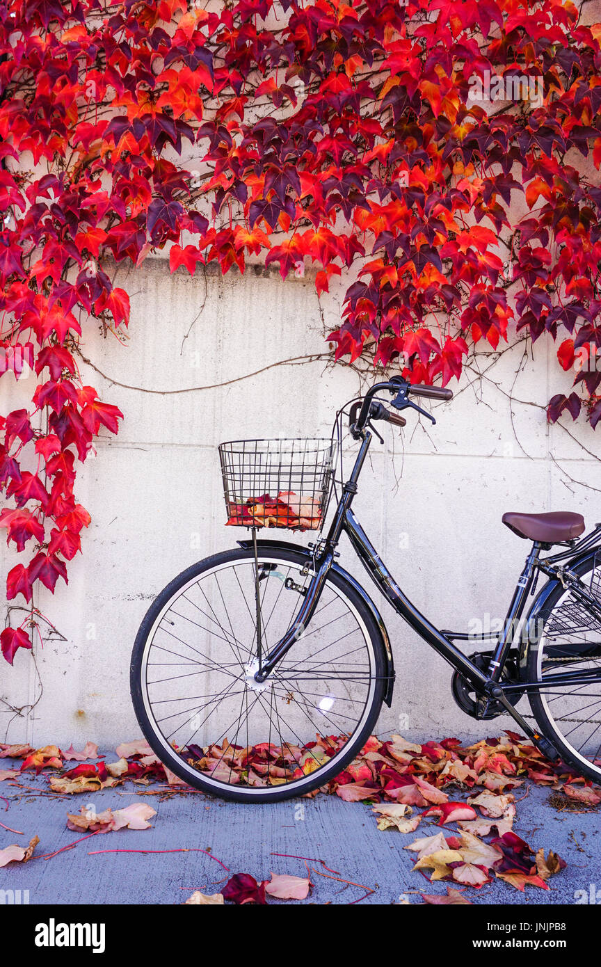 Feuilles d'érable rouge sur le vieux mur avec un vélo à journée ensoleillée en automne Banque D'Images