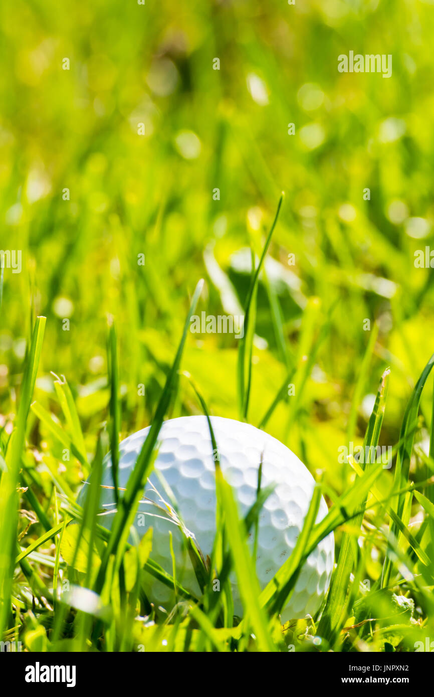 Balle de Golf perdu dans l'herbe agréable et propre. Arrière-plan et lisse. Banque D'Images