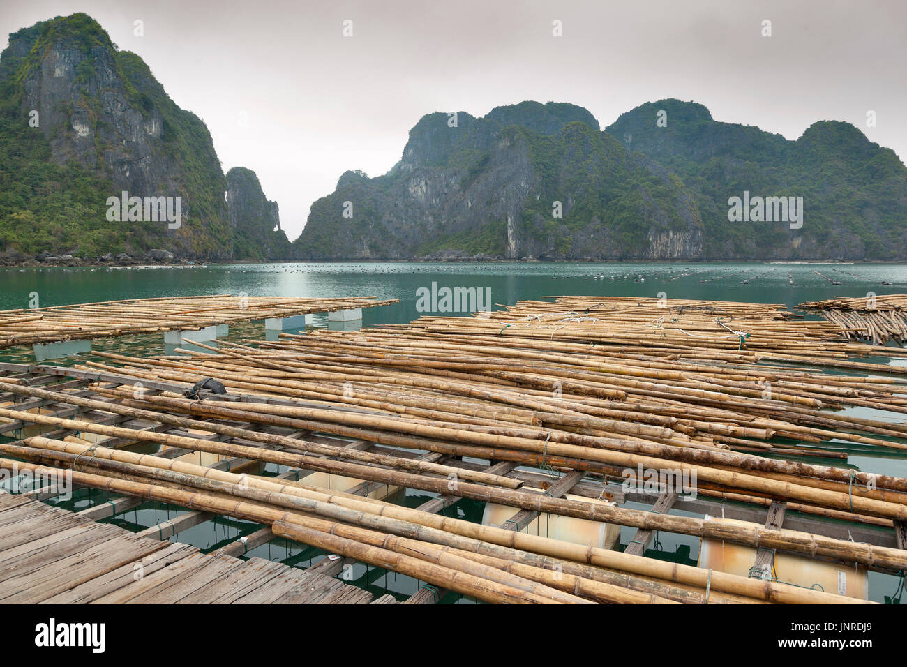 La baie d'Halong, Vietnam, pearl agricoles Banque D'Images