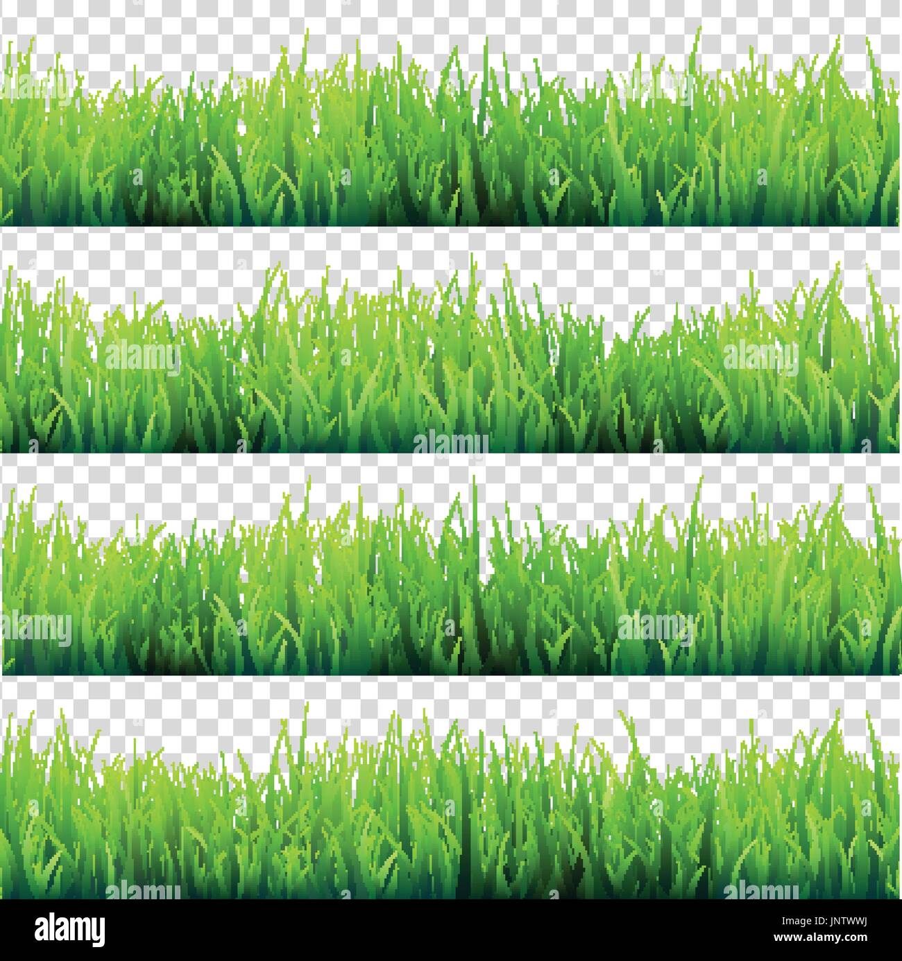 Grass isolé sur fond transparent. Pré Vert. Arrière-plan de la nature. Le printemps, l'heure d'été. Illustration de Vecteur