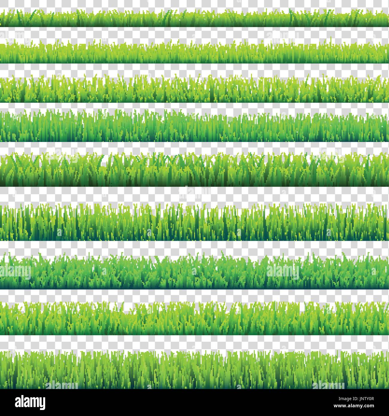 Grass isolé sur fond transparent. Pré Vert. Arrière-plan de la nature. Le printemps, l'heure d'été. Illustration de Vecteur