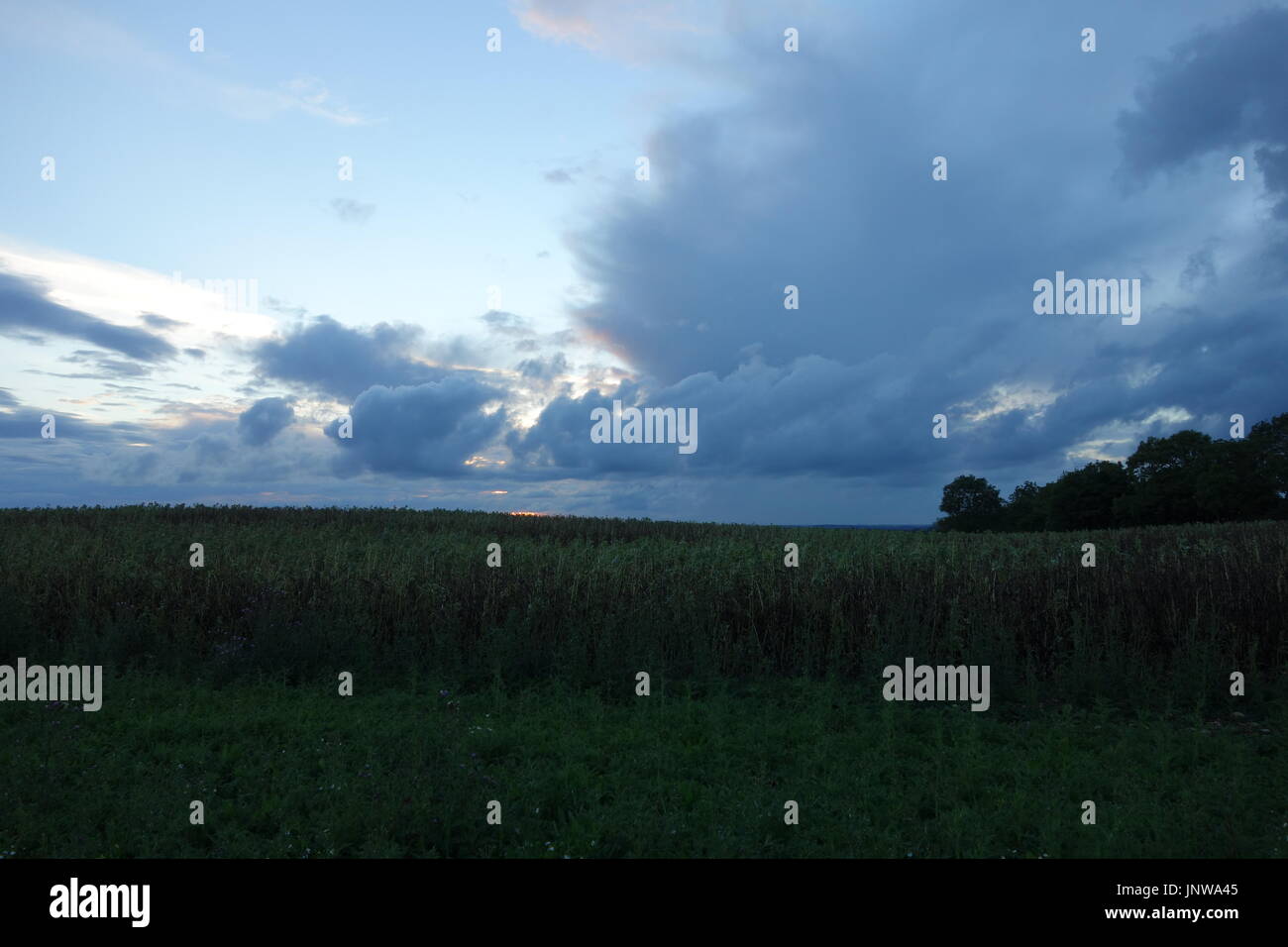 Randonnées Banque D'Images