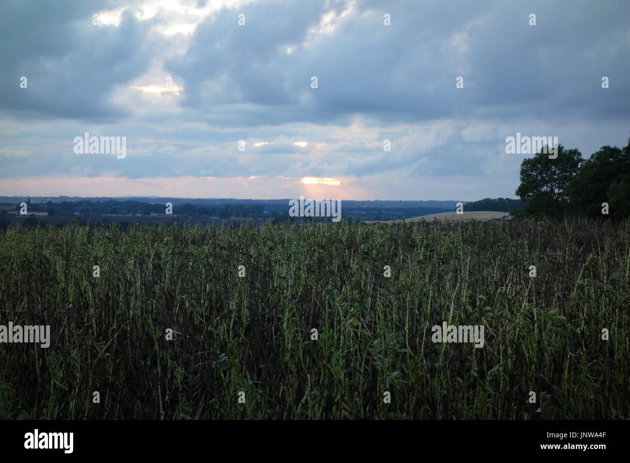 Randonnées Banque D'Images