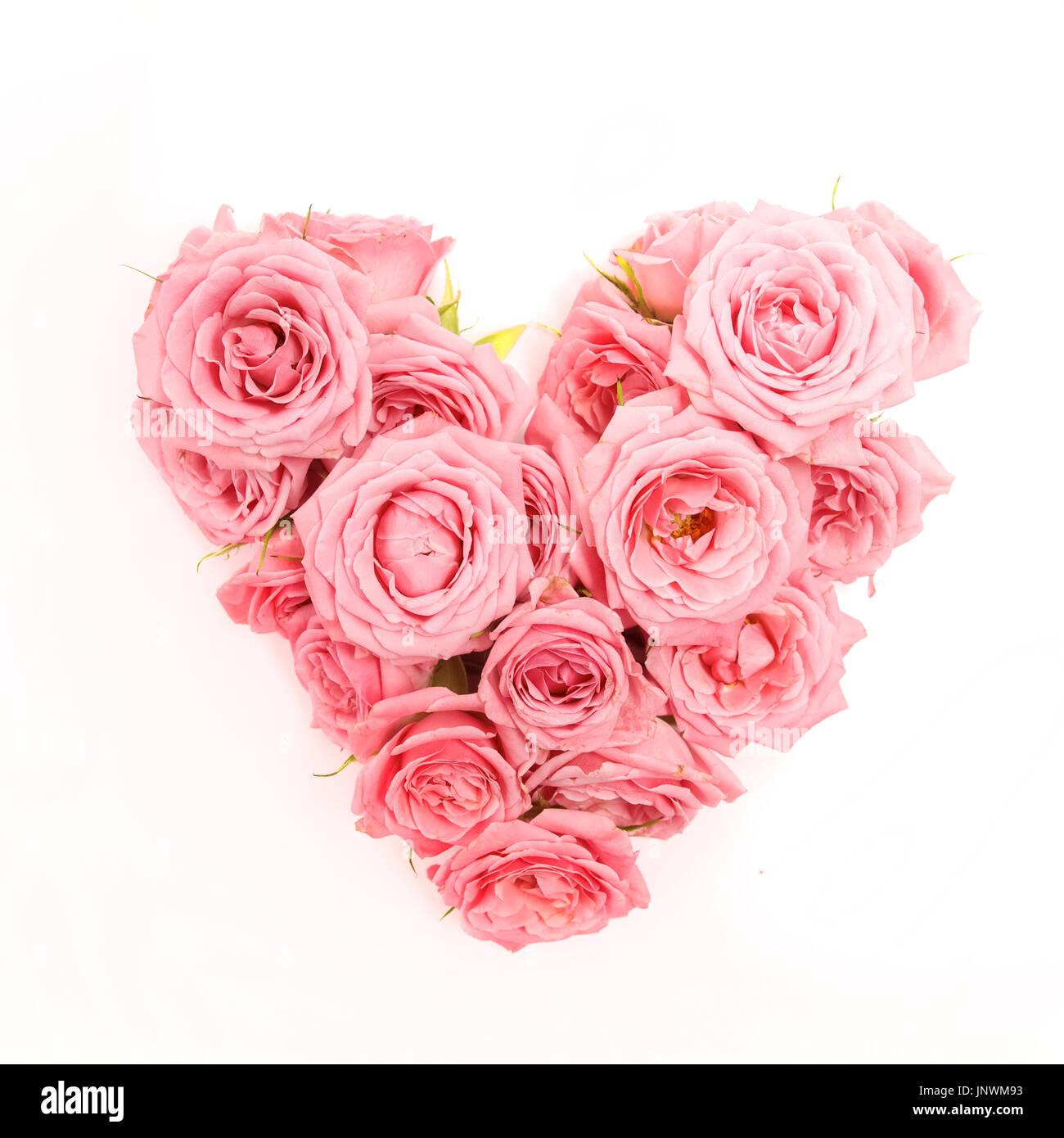 Bouquet de roses en forme de coeur isolé sur fond blanc. Vue d'en haut  Photo Stock - Alamy
