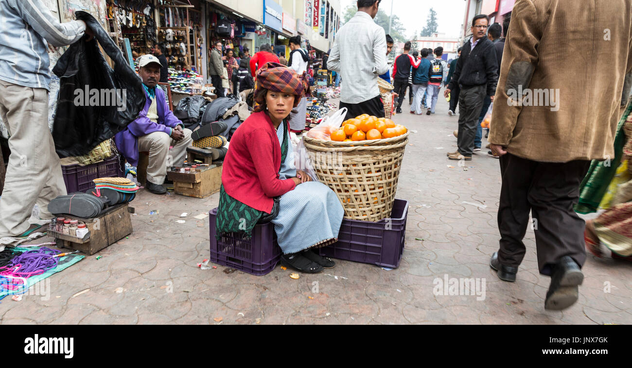 Femme vendant des oranges dans la rue, Shillong, Meghalaya, en Inde Banque D'Images