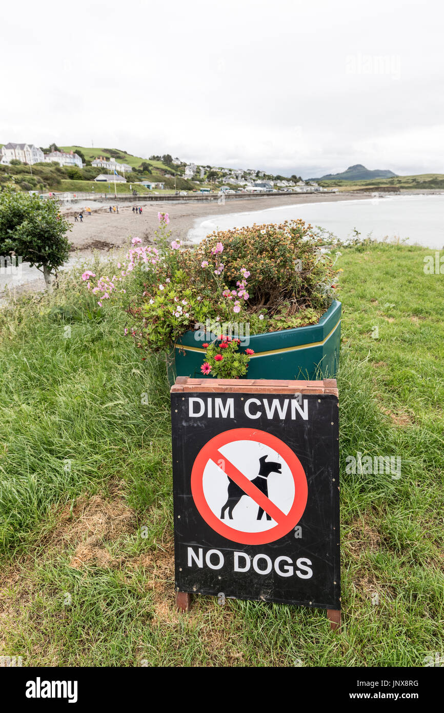 Pas de chiens signer sur l'herbe au bord de la mer, Criccieth, Péninsule de Lleyn, Pays de Galles, Royaume-Uni Banque D'Images