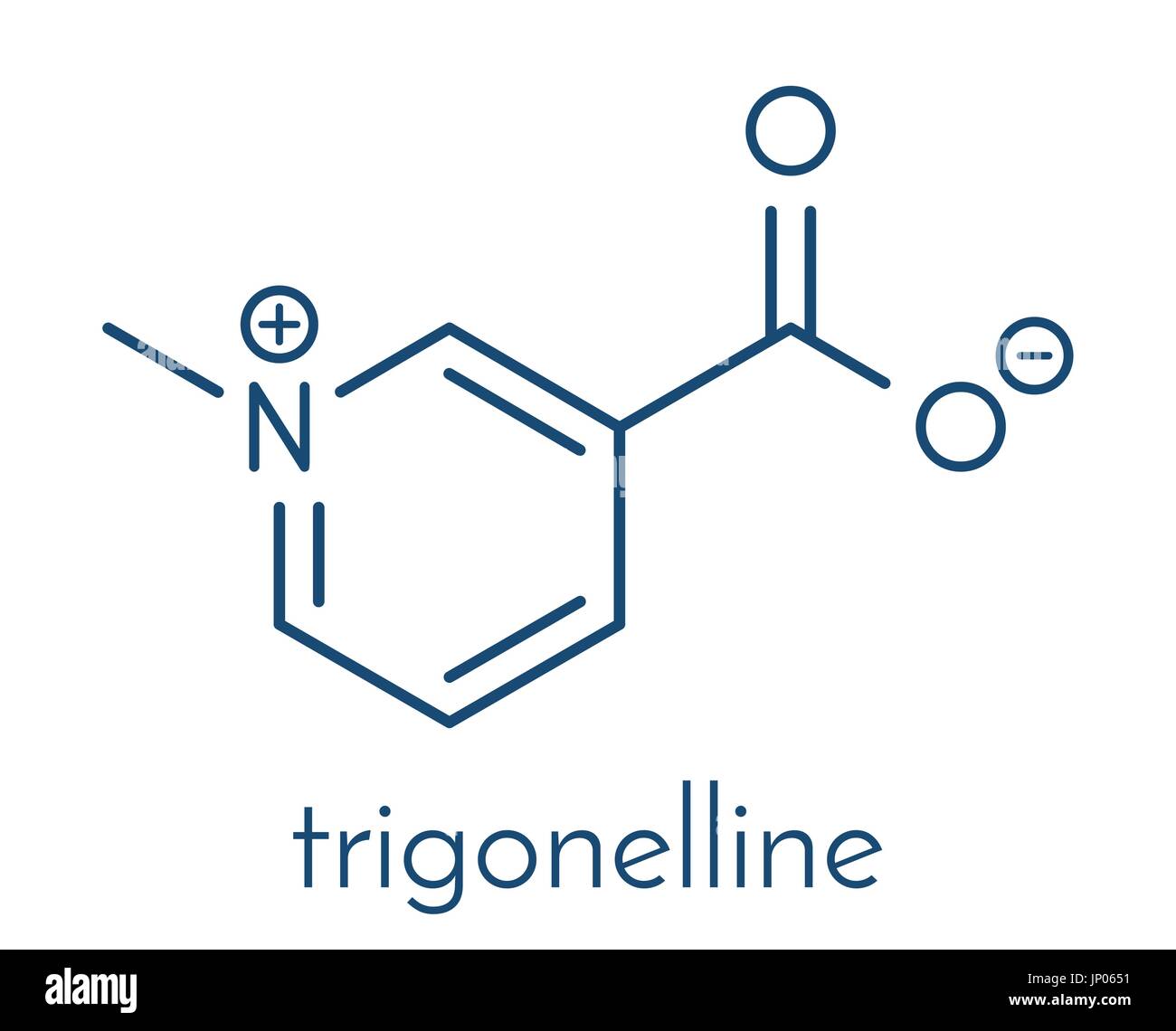 La Trigonelline molécule. Métabolite de la niacine (vitamine B3) mais aussi dans un certain nombre de plantes, y compris le fenugrec. Formule topologique. Illustration de Vecteur