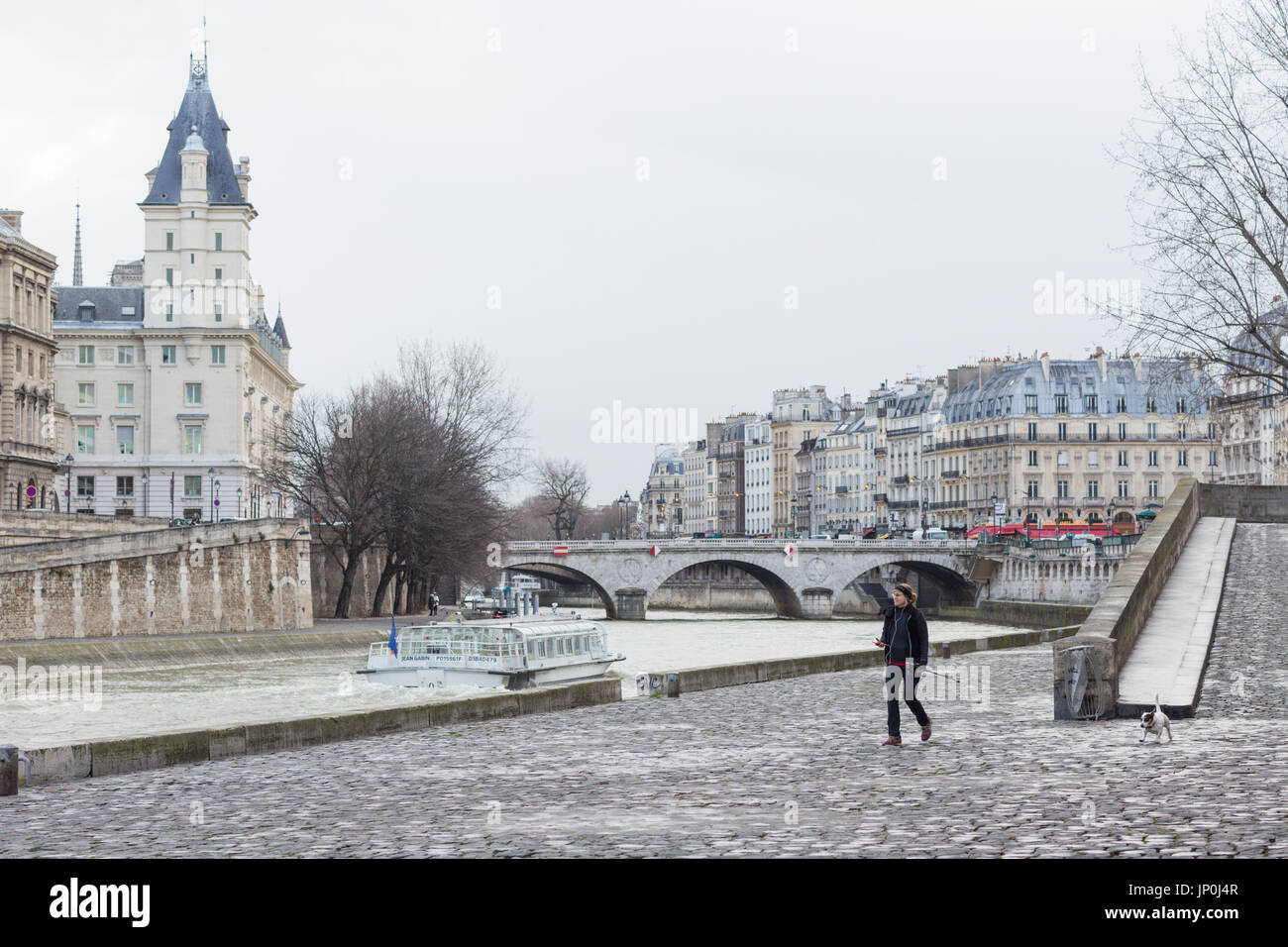 Paris, France - 2 mars 2016 : promener son chien par la Seine en face de l'Ile de la Cité et Pont Saint-Michel Banque D'Images