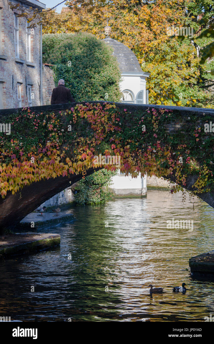 Bruges, Belgique - 31 octobre 2010 : Peerdenstraat bridge, Bruges, Belgique, Groenerei, à l'automne Banque D'Images
