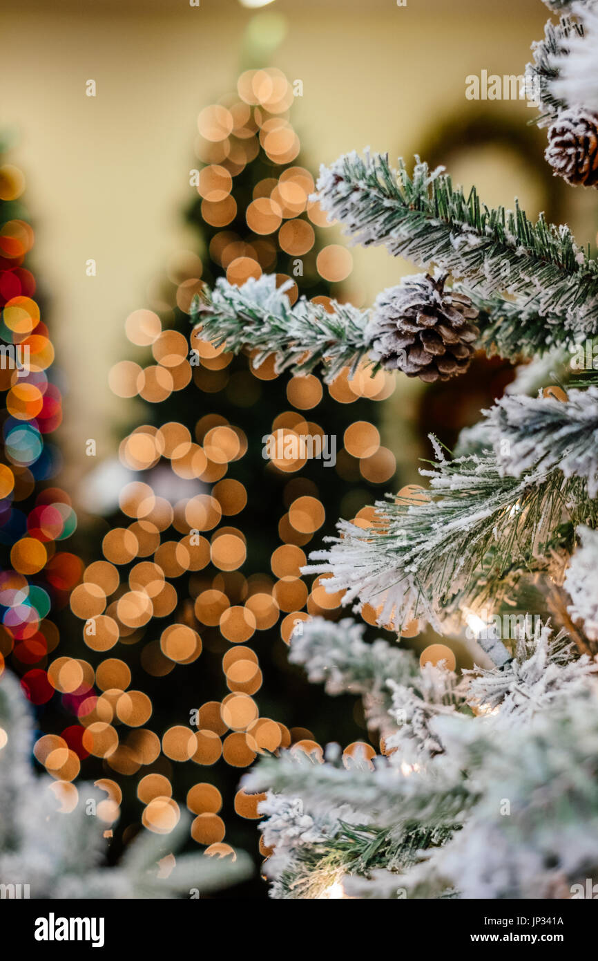 Les branches d'arbre de Noël floqué blanc sur l'affichage dans un magasin de détail montrant une faible profondeur de champ et arbres de Noël éclairé à l'arrière-plan. Banque D'Images