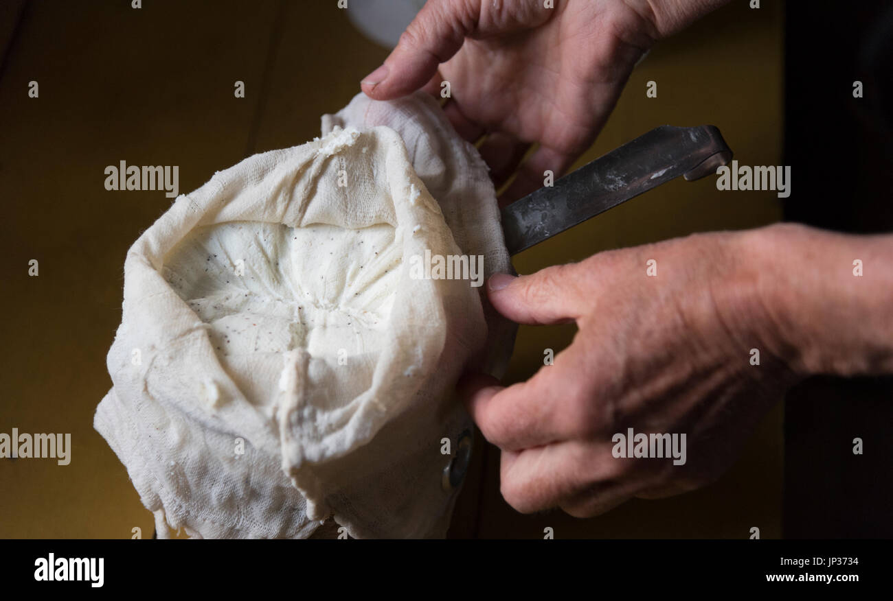 Faire le fromage de chèvre à la ferme de montagne. C'est un fromage fabriqué à partir de deux jours de lait de chèvre d'une chèvre. Le fromage est découvert dans l'étoffe. Banque D'Images