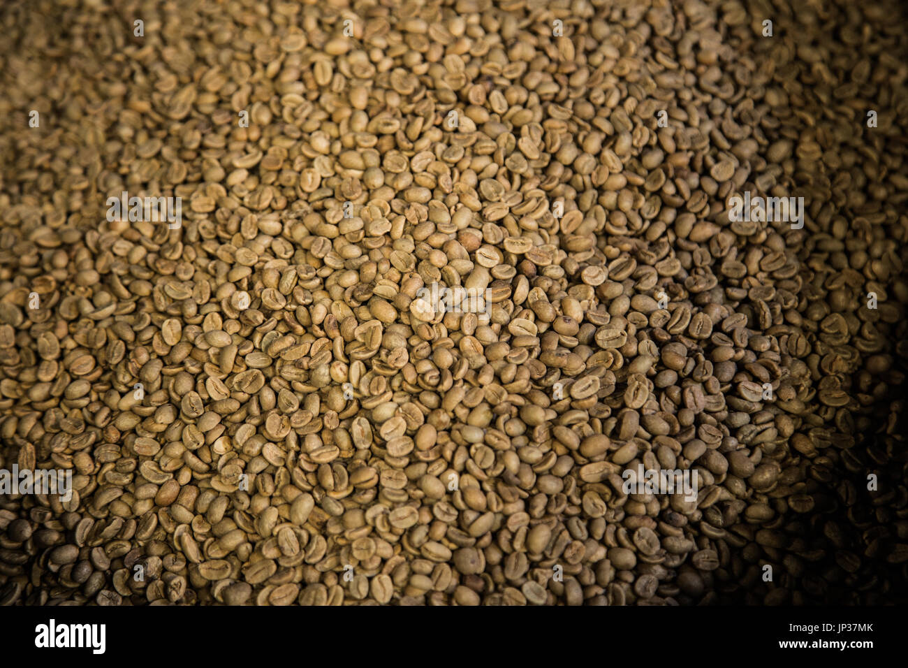 Libre de grains de café brut Banque D'Images