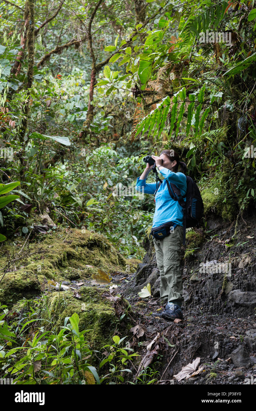 Une jeune femme à la recherche d'oiseau avec les jumelles dans cloud-forêt de montagnes des Andes. La Colombie, l'Amérique du Sud Banque D'Images