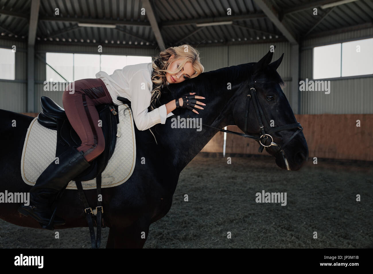 Belle jeune fille blonde élégante une lieson son cheval noir s'habiller uniformes de concurrence chemisier blanc chemise et pantalon brun. Piscine portraite dans ridi Banque D'Images