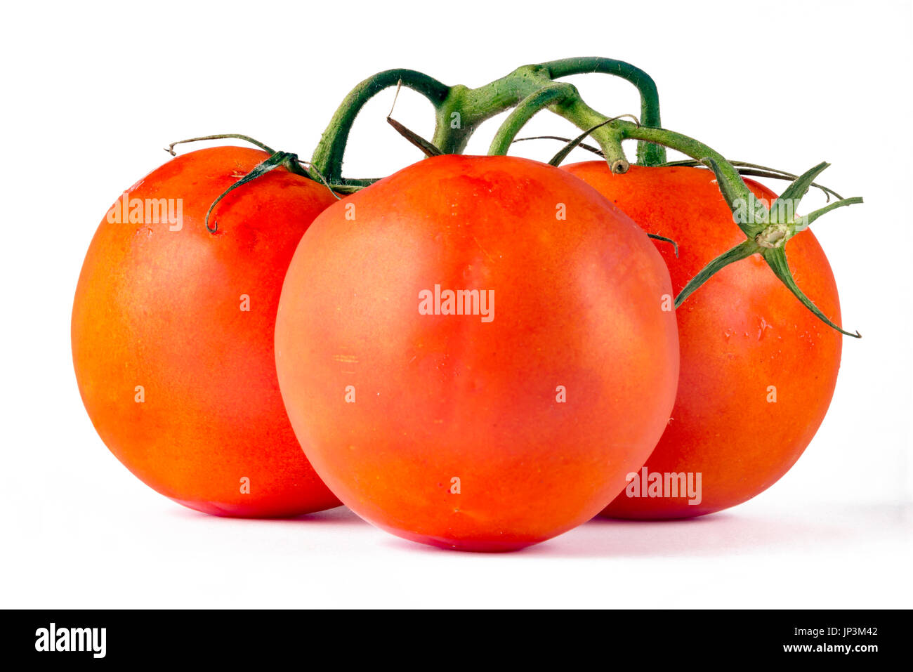 Les tomates sont très facile à cultiver à partir de semences, vous pouvez acheter les plants de tomates à partir de centres de jardinage Banque D'Images