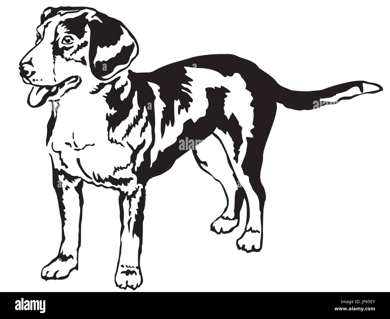 Portrait de décoration de l'article profil de Modhydropoll Mountain Dog, vector illustration en couleur noir isolé sur fond blanc Illustration de Vecteur