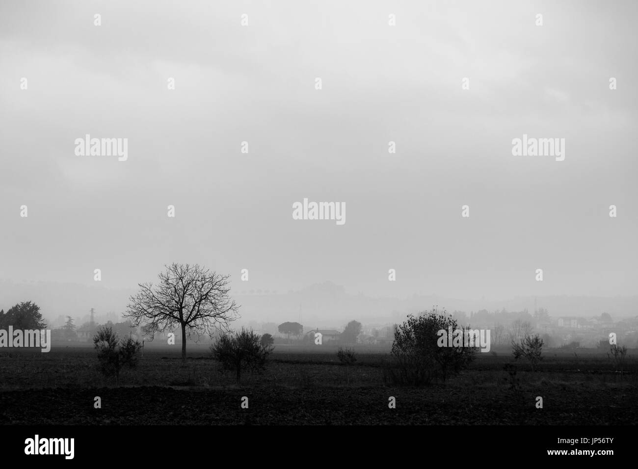 Vue d'un pays à l'automne / hiver, avec quelques arbres et des maisons dans la brume Banque D'Images