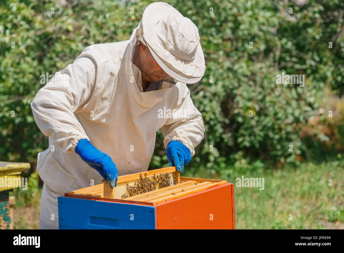 L'apiculteur avec honeycomb Banque D'Images