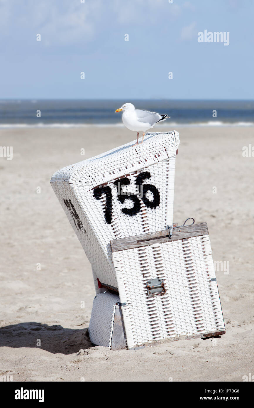 L'Europe, l'Allemagne, la Frise, Langeoog - un quartier calme matin de printemps sur Langeoog - une mouette se repose sur une chaise de plage. Un matin de printemps silencieux Banque D'Images