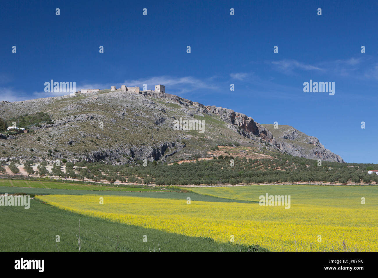 Espagne, Andalousie, région de Malaga Province, Teba, Ville Paysage près de la ville de Ronda Banque D'Images