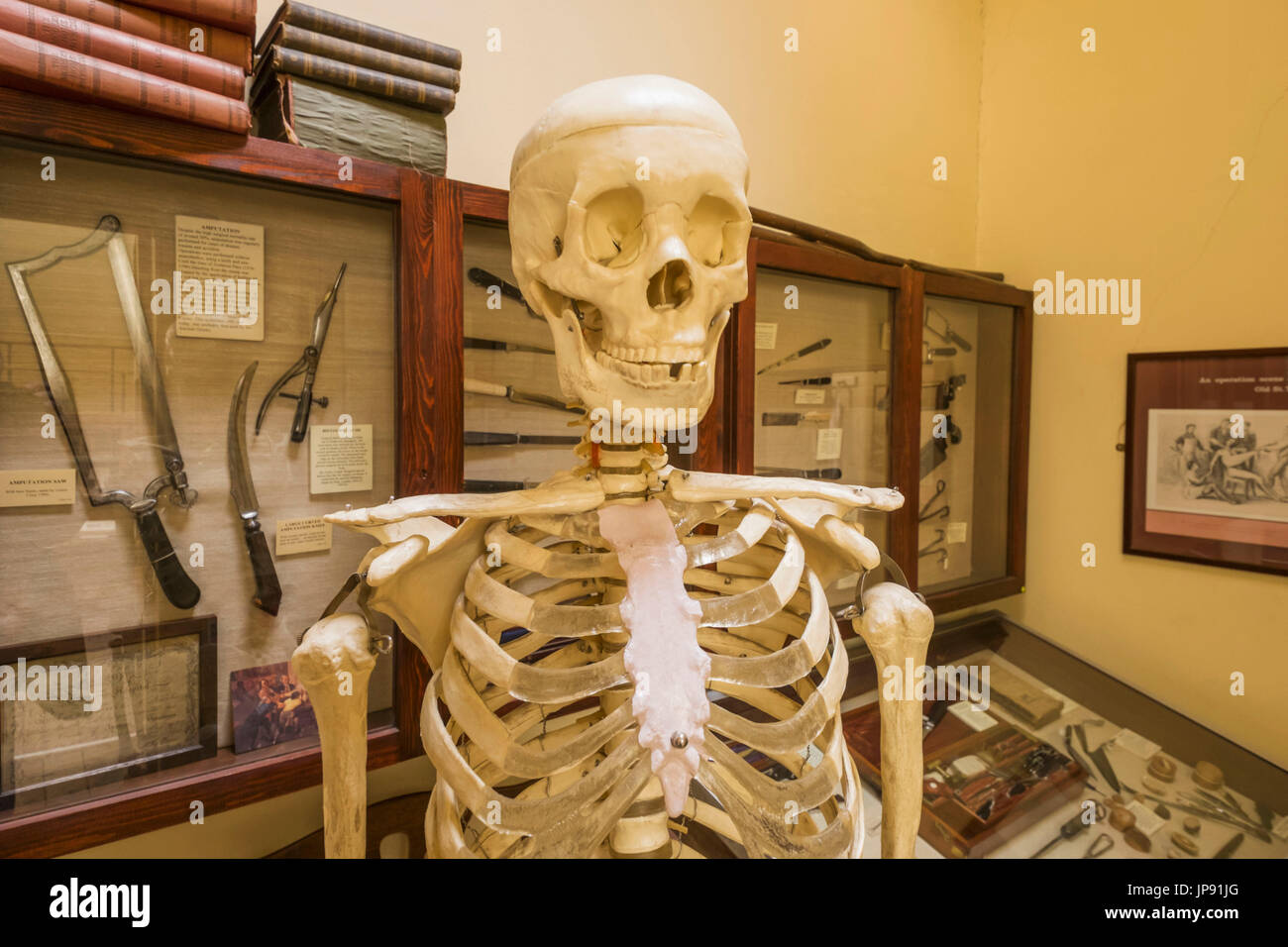 L'Angleterre, Londres, Southwark, l'ancienne salle d'opération et Herb Garrett Museum, squelette et affichage des instruments médicaux Historique Banque D'Images
