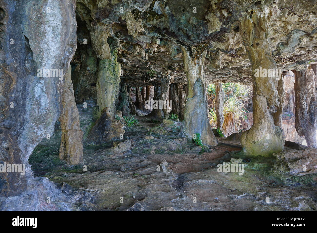 Une caverne de calcaire avec des colonnes sur l'île de Rurutu, archipel du Pacifique Sud, Australes, Polynésie Française, Océanie Banque D'Images