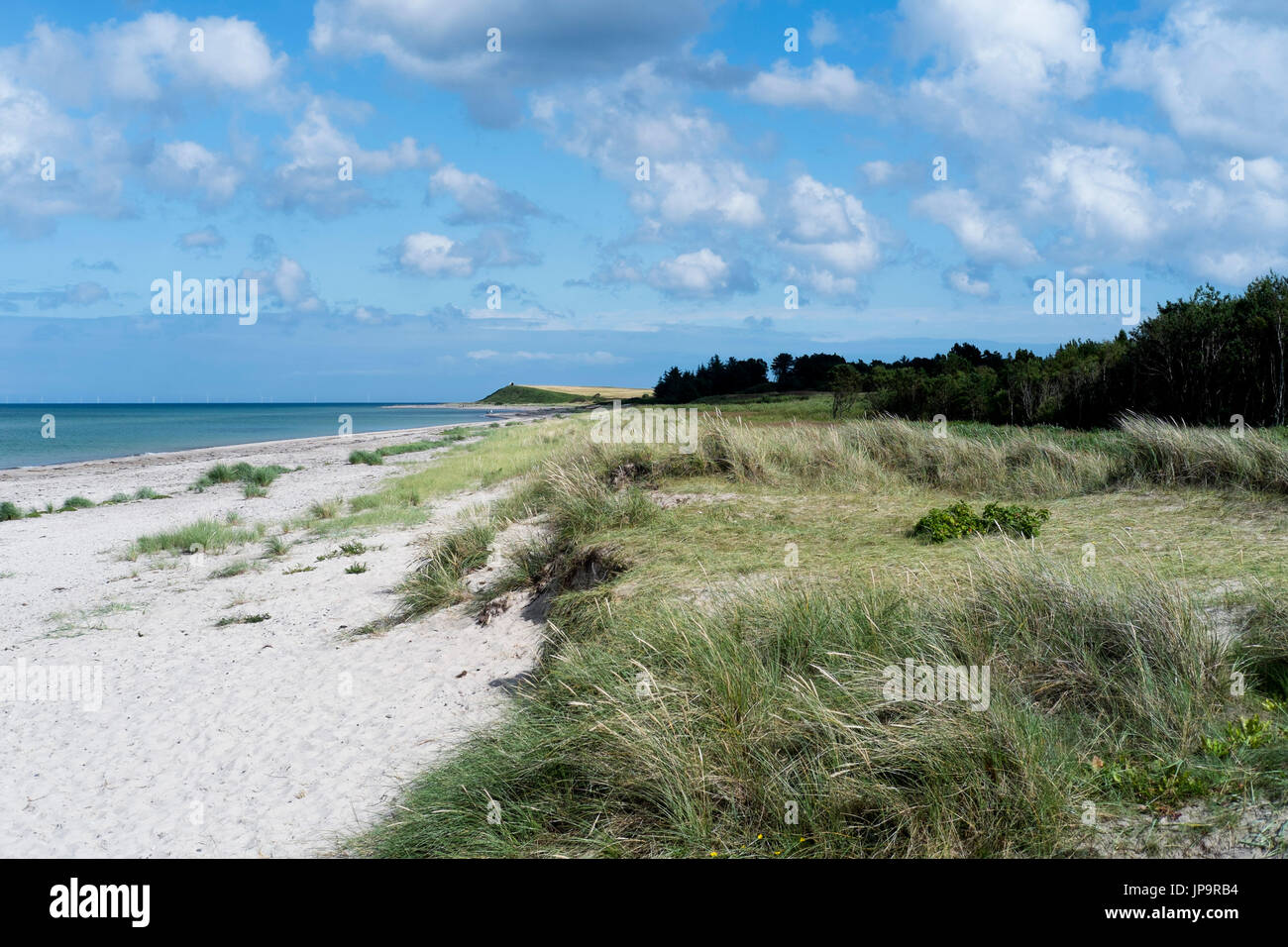 Nordstrand plage près de Grenade - Gjerrild - Jutland - Danemark - Djursland Banque D'Images