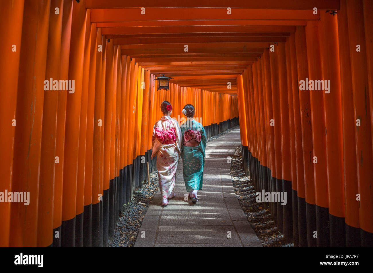 Le Japon, la ville de Kyoto, Fushimi-Inari Taisha, Toriies Banque D'Images