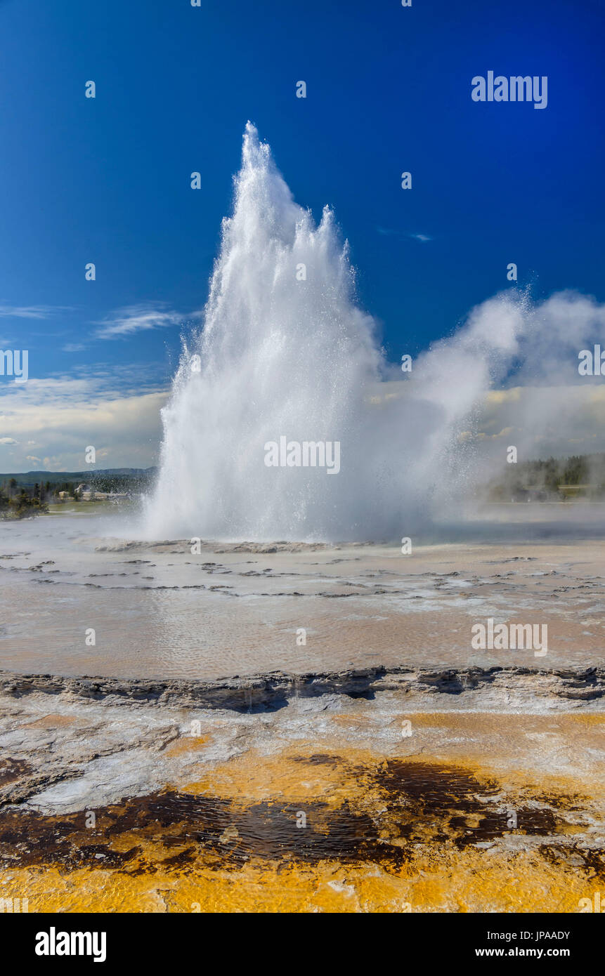 Grande Fontaine geyser, le Parc National de Yellowstone Banque D'Images