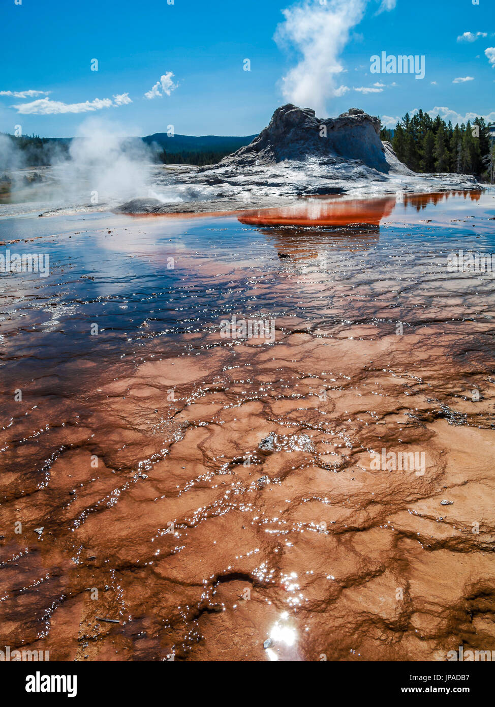 Castle geyser, le Parc National de Yellowstone, Wyoming, USA Banque D'Images