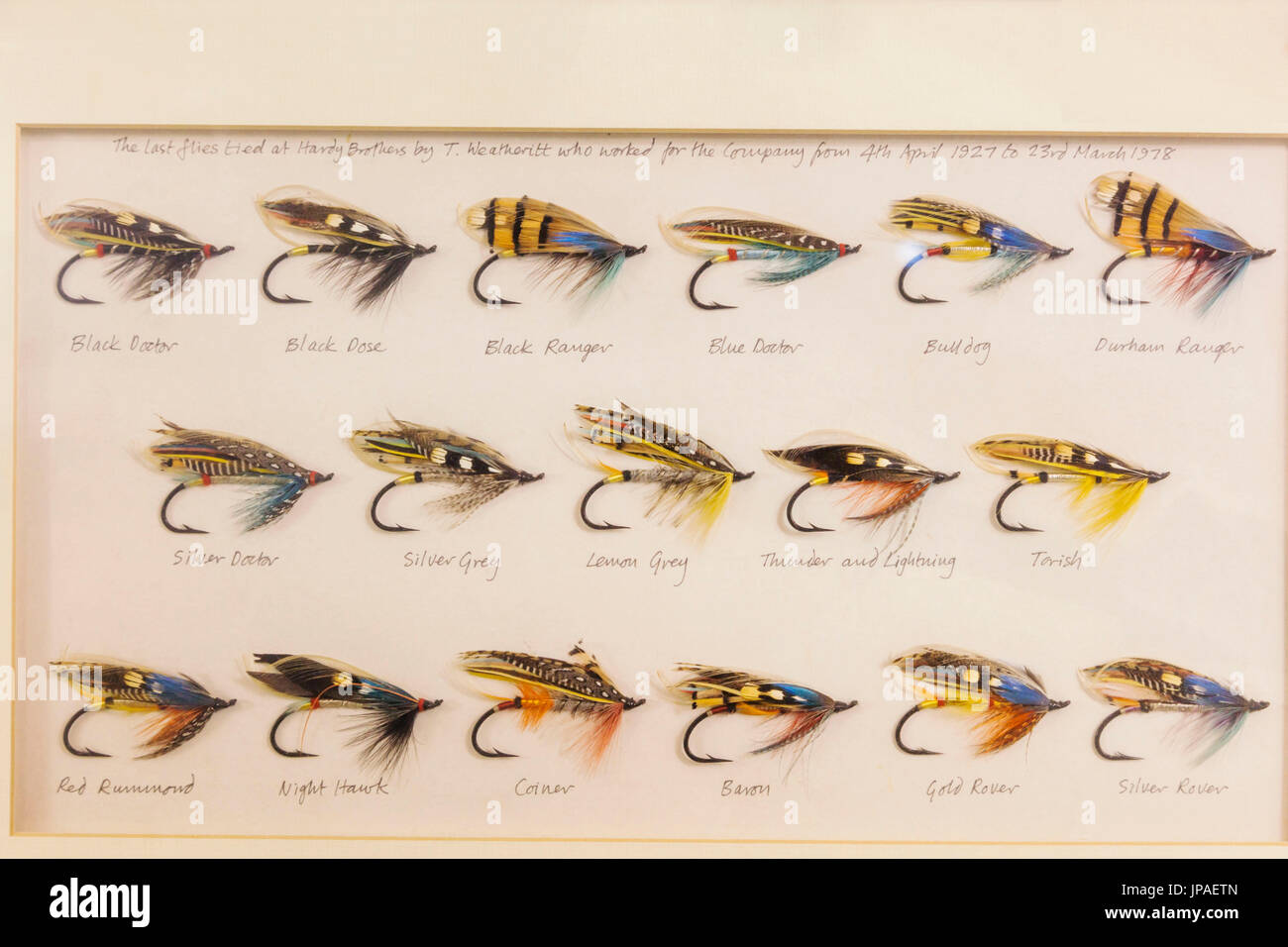 En Angleterre, Northumberland, Alnwick, Hardy Musée d'articles de pêche, l'affichage de l'historique des hameçons mouche Banque D'Images