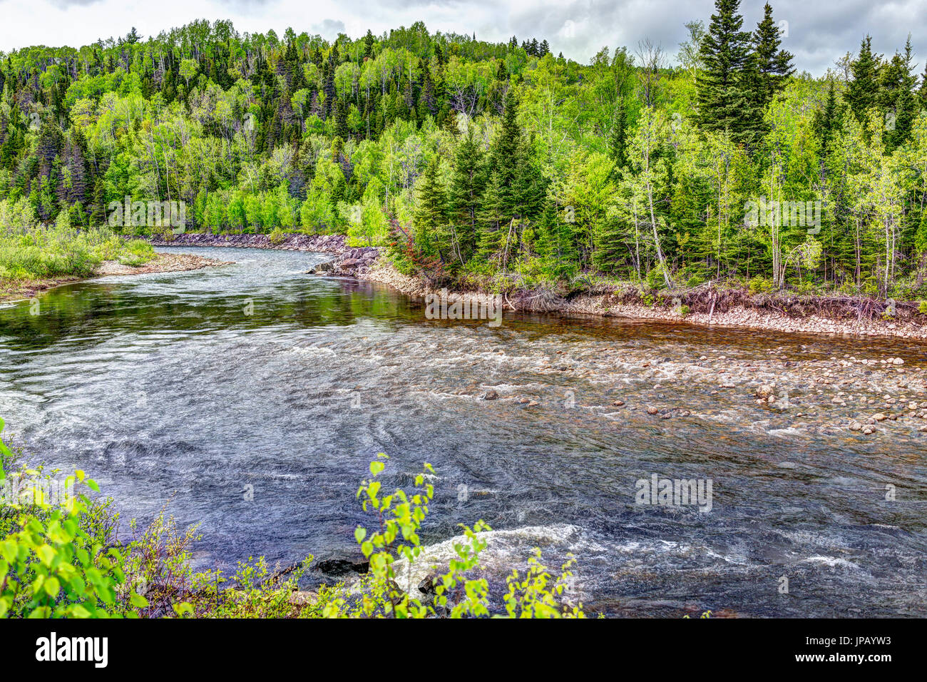 La rivière Petit Saguenay au Québec, Canada au cours de l'été vert vif avec curve Banque D'Images