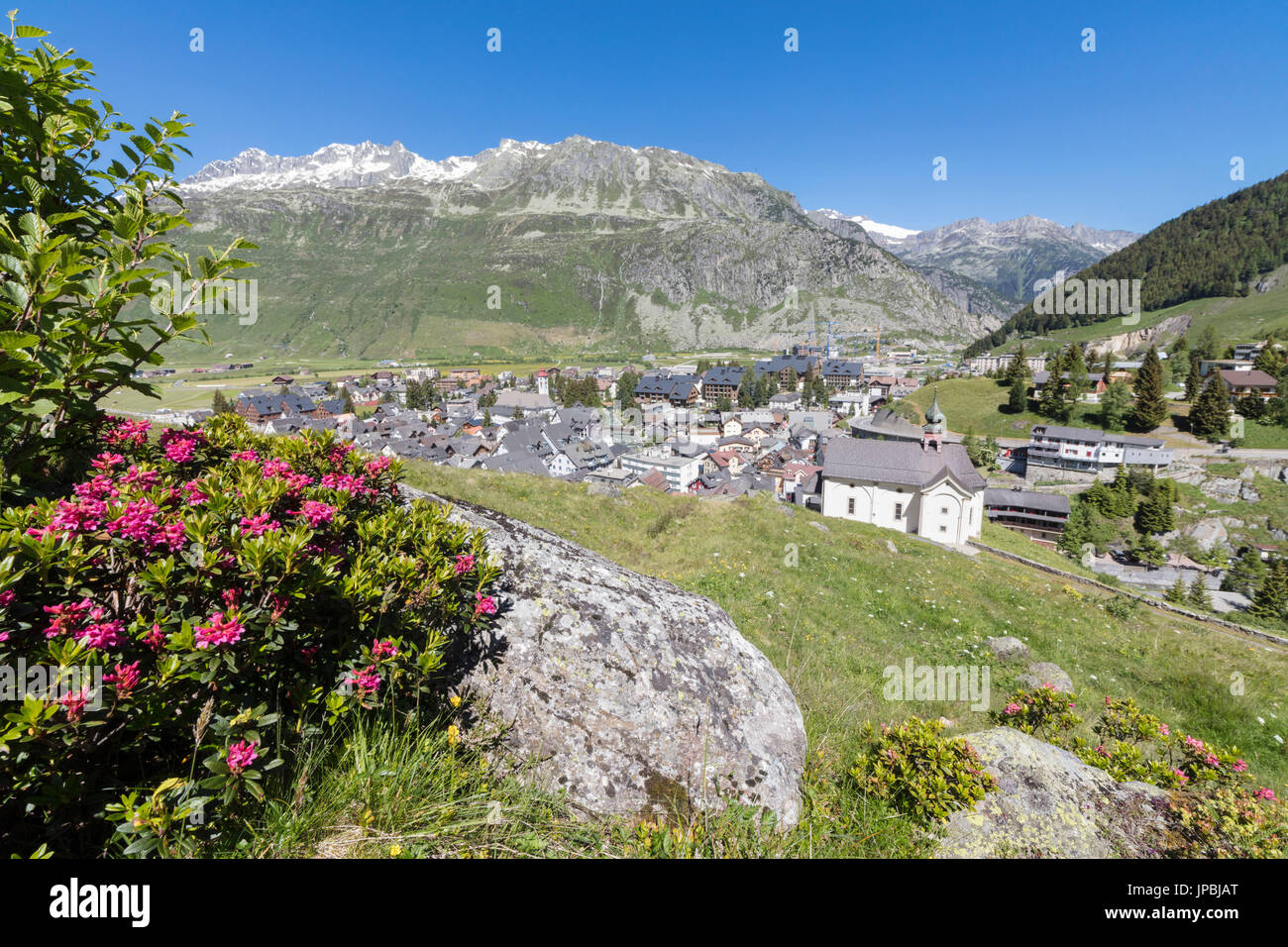 Châssis Rhododendrons le village alpin d'Andermatt et les cimes enneigées en arrière-plan Canton d'Uri, Suisse Europe Banque D'Images