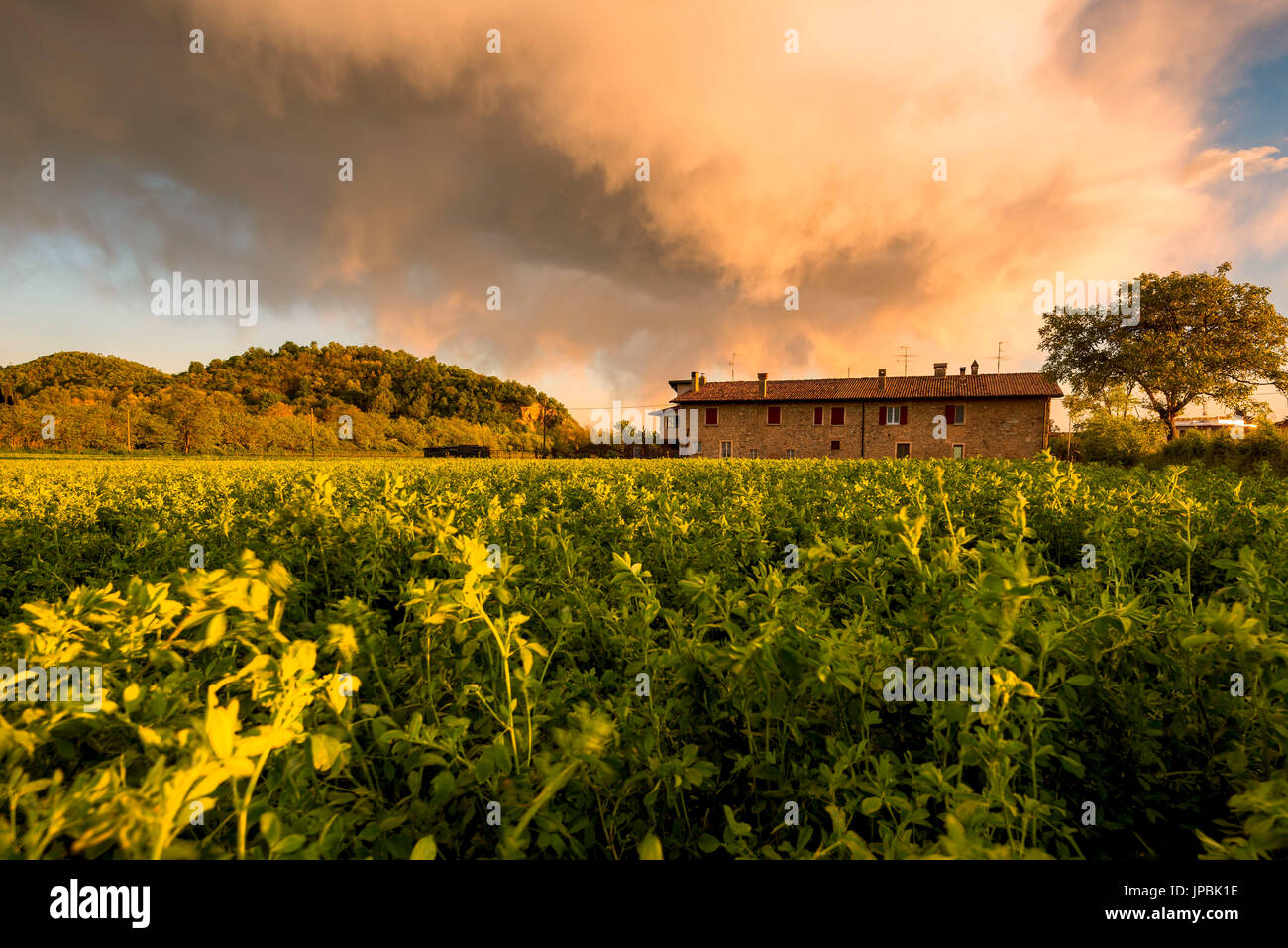 Coucher du soleil en Franciacorta, province de Brescia, Lombardie, Italie, district de l'Europe. Banque D'Images