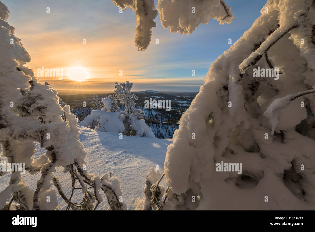 Soleil et ciel bleu, la trame des branches d'arbres gelés le dans la Snowy Woods Ruka Kuusamo Laponie Finlande Europe région Ostrobothnia Banque D'Images