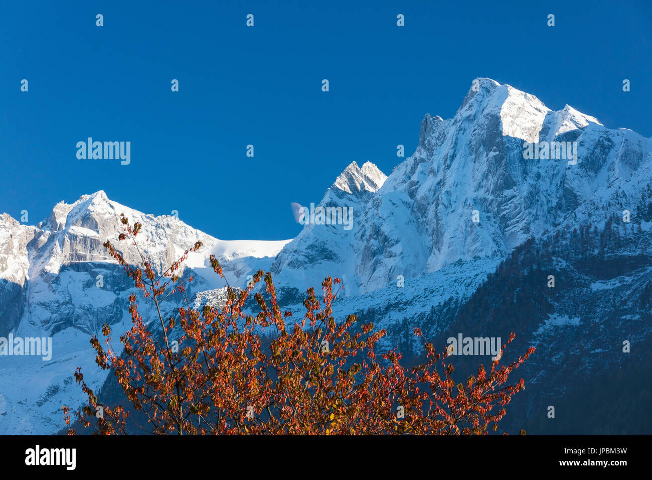 Bleu du ciel et de la lune sur les pistes enneigées encadrée par des arbres colorés Soglio Bregaglia Valley canton des Grisons Suisse Europe Banque D'Images
