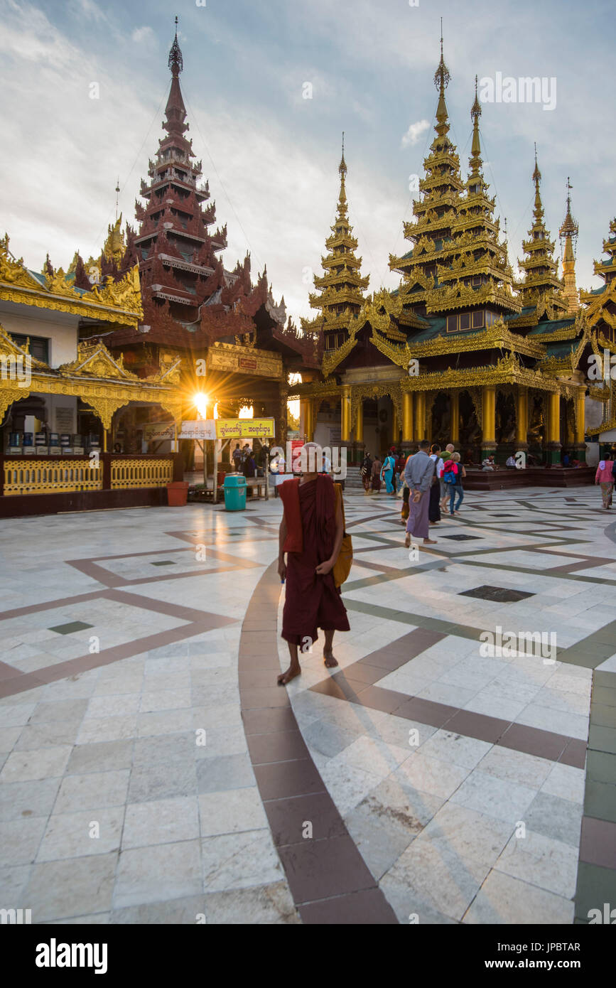 Yangon, Myanmar (Birmanie). Vieux moine marchant dans la pagode Shwedagon au lever du soleil. Banque D'Images