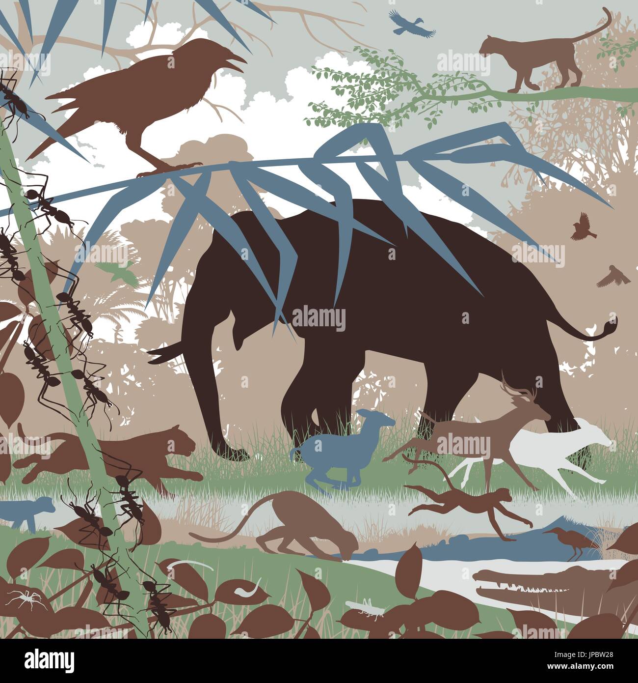 Illustration vectorielle modifiable de diverses espèces sauvages d'Asie dans l'habitat naturel Illustration de Vecteur Illustration vectorielle modifiable de diverses espèces sauvages d'Asie dans l'habitat naturel Illustration de Vecteur