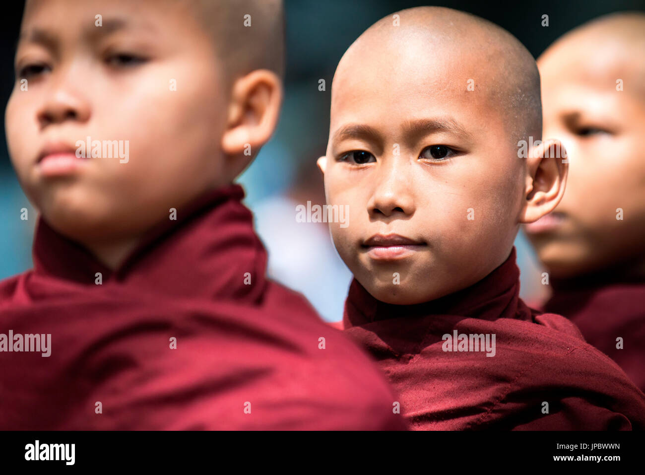 Monastère Mahagandayon, Amarapura, Myanmar, l'Asie du Sud Est. Détail de jeune moine dans une rangée pour le rituel du déjeuner. Banque D'Images