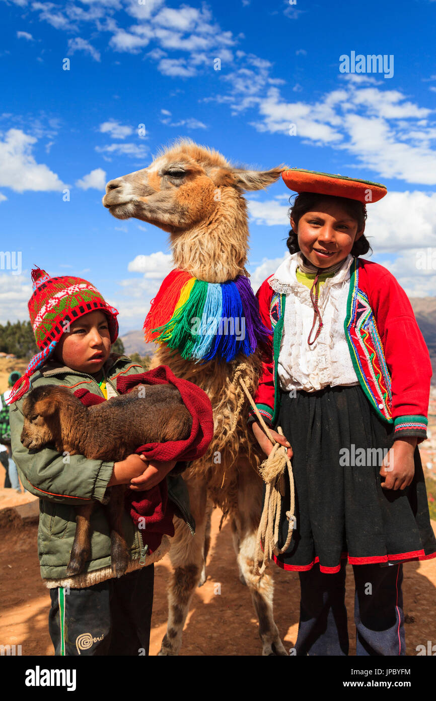 Enfants et de lamas à Cuzco, Pérou, Amérique du Sud. Banque D'Images